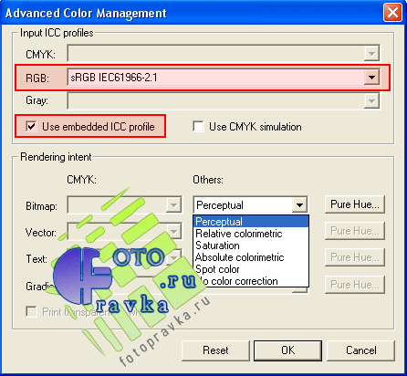  photoprint server-pro